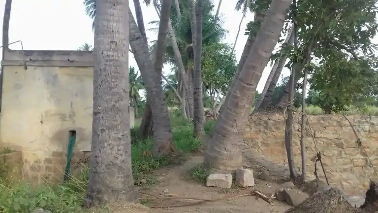 Arulmigu Panaiyadi Karuppannasamy Temple, Mohanur - 637015