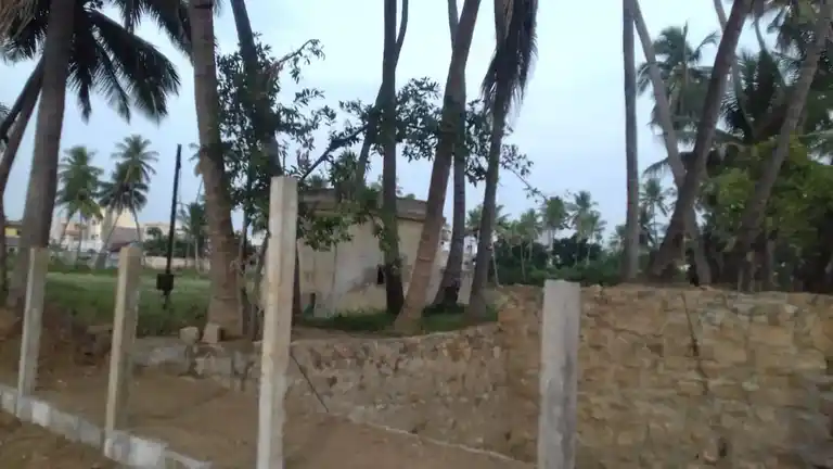 Arulmigu Panaiyadi Karuppannasamy Temple, Mohanur - 637015 அருள்மிகு பனையடி கருப்பண்ணசாமி திருக்கோயில், Mohanur - 637015, Namakkal - Ancient Temple Architecture and History Image 2