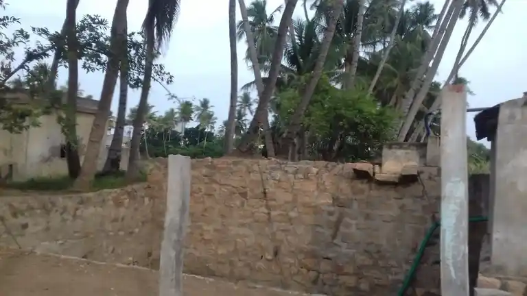 Arulmigu Panaiyadi Karuppannasamy Temple, Mohanur - 637015 அருள்மிகு பனையடி கருப்பண்ணசாமி திருக்கோயில், Mohanur - 637015, Namakkal - Ancient Temple Architecture and History Image 3