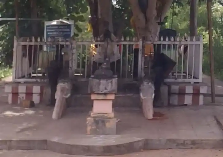 Arulmigu Panaiyur Pillaiyar Temple, Keelavayal - 630410 அருள்மிகு பனையூர் பிள்ளையார் திருக்கோயில், Keelavayal - 630410, Sivagangai - Ancient Temple Architecture and History Image 2