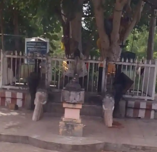 Arulmigu Panaiyur Pillaiyar Temple, Keelavayal - 630410 அருள்மிகு பனையூர் பிள்ளையார் திருக்கோயில், Keelavayal - 630410, Sivagangai - Ancient Temple Architecture and History Image 3