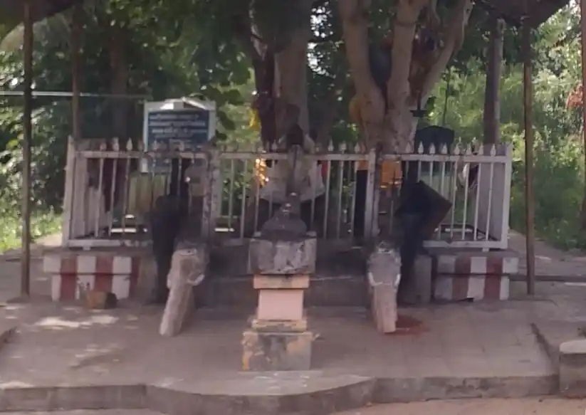 Arulmigu Panaiyur Pillaiyar Temple, Keelavayal - 630410 அருள்மிகு பனையூர் பிள்ளையார் திருக்கோயில், Keelavayal - 630410, Sivagangai - Ancient Temple Architecture and History Image 4