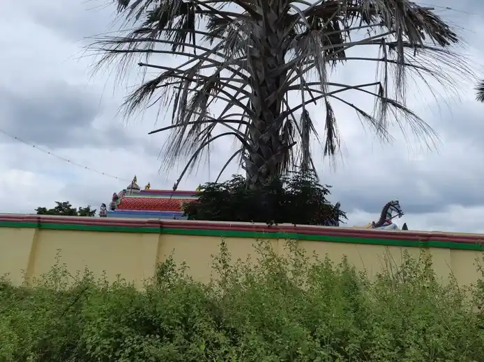 Arulmigu Panaiyurudaiya Ayyanar Temple, Piravalur - 630561 அருள்மிகு. பனையமுடைய அய்யனார் திருக்கோயில், Piravalur - 630561, Sivagangai - Ancient Temple Architecture and History Image 3