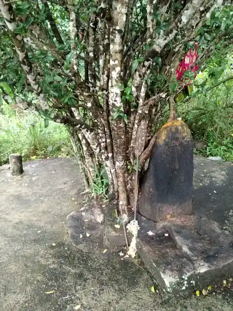Arulmigu Pancha Kannimar Temple, Pannipakam, Muttaikkadu - 629161 Temple