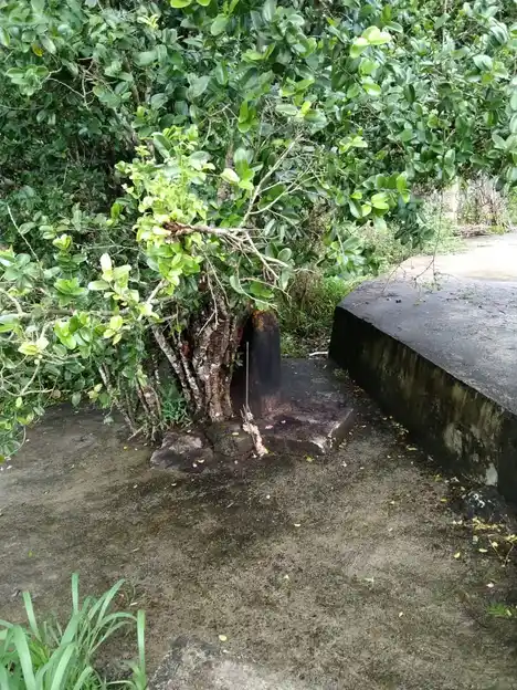 Arulmigu Pancha Kannimar Temple, Pannipakam, Muttaikkadu - 629161 Arulmigu Pancha Kannimar Temple, Pannipakam, முட்டைக்காடு - 629161, Kanyakumari - Ancient Temple Architecture and History Image 2