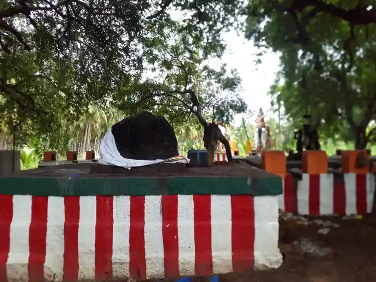 Arulmigu Panchayiramudaiya Ayyanar Temple, Kalukarkadai - 630611 அருள்மிகு. பூஞ்சாயிரமுடைய அய்யனார் திருக்கோயில், Kalukarkadai - 630611, Sivagangai - Ancient Temple Architecture and History Image 3