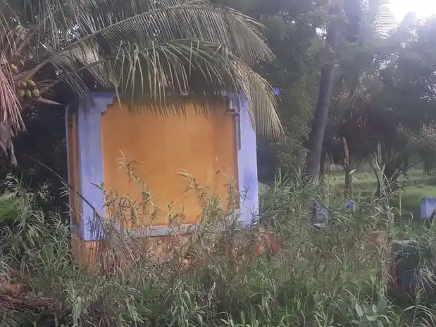 Arulmigu Pandanatheeswarar Temple, Shenkottai - 627809 Arulmigu Pandanatheeswarar Temple, Shenkottai - 627809, Tenkasi - Ancient Temple Architecture and History Image 4
