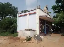 Arulmigu Pandarinathar Temple, Poolanjeri - 621214 Arulmigu Pandarinathar Temple, Poolanjeri - 621214, Thiruchirappalli - Ancient Temple Architecture and History Image 2