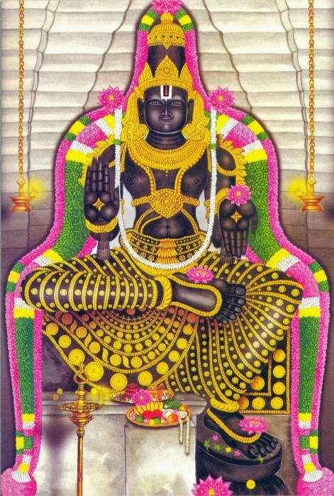 அருள்மிகு பாண்டவதூதப் பெருமாள் திருக்கோயில், பாண்டவதூத பெருமாள் சன்னதி தெரு, காஞ்சிபுரம் நகர் - 631502 - Main View