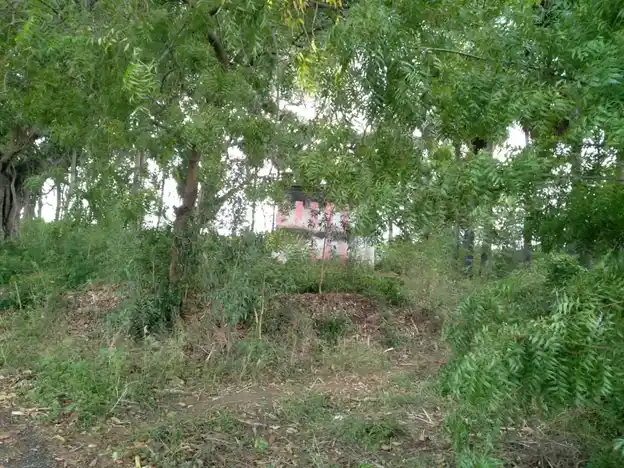 Arulmigu Pandiya Rajakkal Temple, Pudukudi - 628601