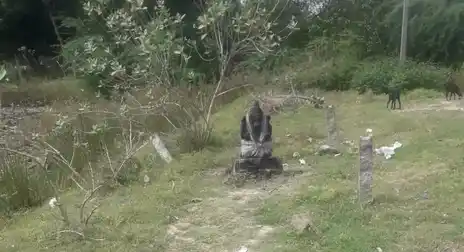 Arulmigu Pandu Renganatha Samy Temple, Thiruppathali - 614715 பாண்டு ரெங்க நாதசுவாமி திருக்கோயில், Thiruppathali - 614715, Thiruvarur - Ancient Temple Architecture and History Image 2