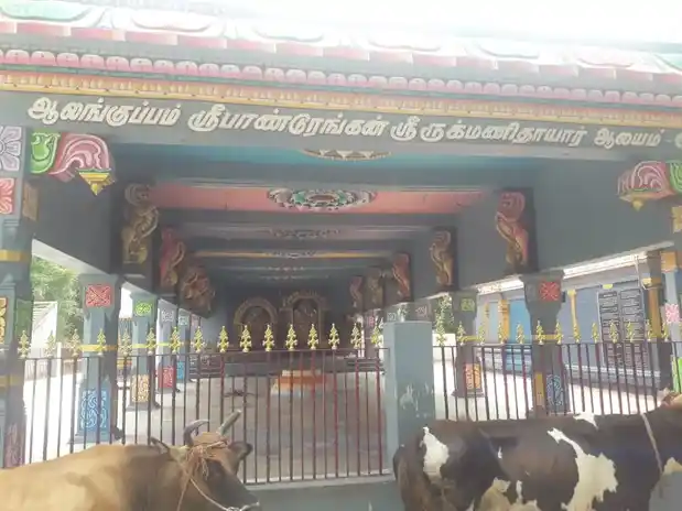 Arulmigu Pandurangaswamy Temple, Aalangkuppam - 607107 அருள்மிகு பாண்டுரங்கசாமி திருக்கோயில், Aalangkuppam - 607107, Viluppuram - Ancient Temple Architecture and History Image 4