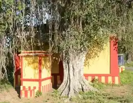 Arulmigu Paneerudaiya Ayyanar Temple, Pattakulam Saillipatti, Pattakulam Saillipatti - 626127 அருள்மிகு ஸ்ரீபன்னீருடைய அய்யனார் திருக்கோயில், பாட்டக்குளம்சல்லிபட்டி, பாட்டக்குளம்சல்லிபட்டி - 626127, Virudhunagar - Ancient Temple Architecture and History Image 4