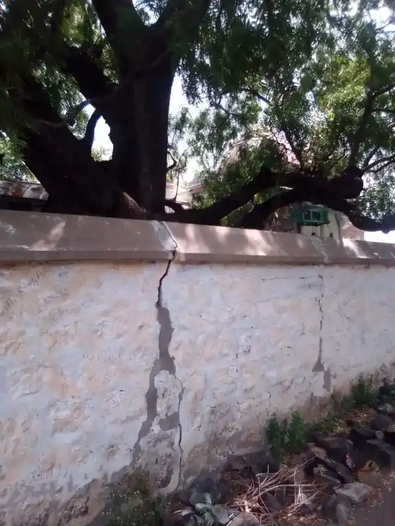 Arulmigu Panivizhunthalamman Temple, Veeramachanpatti - 620017 Arulmigu Panivizhunthalamman Temple, Veeramachanpatti - 620017, Thiruchirappalli - Ancient Temple Architecture and History Image 5