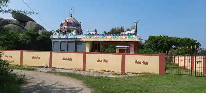 Arulmigu Panjaneswarar Temple, Sozhangkunam - 604210 அருள்மிகு பஞ்சனேஸ்வரர் திருக்கோயில், Sozhangkunam - 604210, Viluppuram - Ancient Temple Architecture and History Image 5