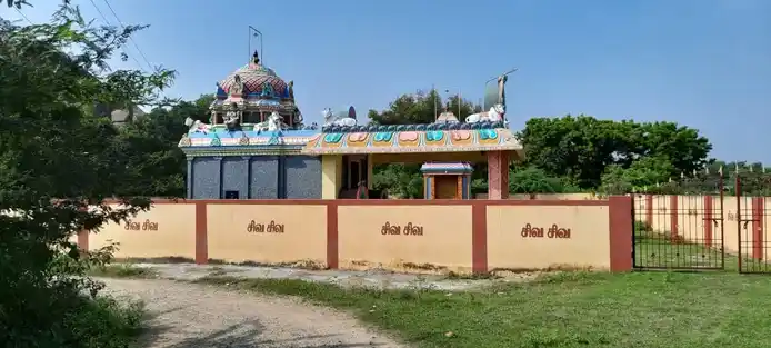 Arulmigu Panjaneswarar Temple, Sozhangkunam - 604210 அருள்மிகு பஞ்சனேஸ்வரர் திருக்கோயில், Sozhangkunam - 604210, Viluppuram - Ancient Temple Architecture and History Image 7