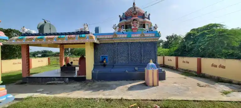 Arulmigu Panjaneswarar Temple, Sozhangkunam - 604210 அருள்மிகு பஞ்சனேஸ்வரர் திருக்கோயில், Sozhangkunam - 604210, Viluppuram - Ancient Temple Architecture and History Image 8