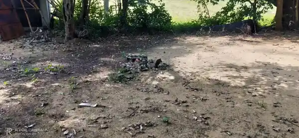 Arulmigu Panthaladikkaruppar Temple, Sethurappatti - 622002 அருள்மிகு பந்தலடிகருப்பர் திருக்கோயில், Sethurappatti - 622002, Pudukkottai - Ancient Temple Architecture and History Image 2