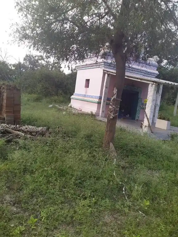 Arulmigu Panthiamman Temple, Kothigutlapalli - 635120 அருள்மிகு பந்தியம்மன் திருக்கோயில், Kothigutlapalli - 635120, Krishnagiri - Ancient Temple Architecture and History Image 4