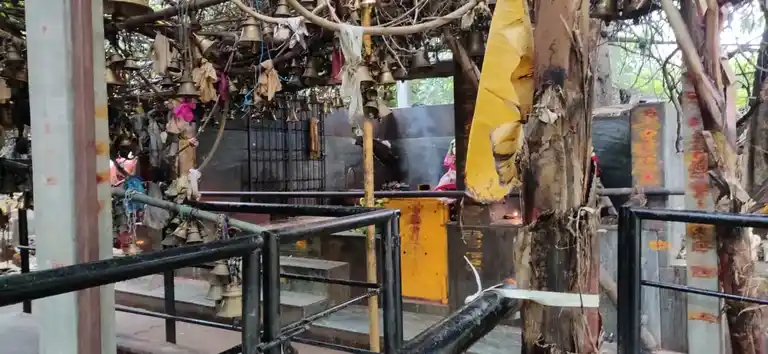 Arulmigu Papathiamman Temple, Kollakottay, Andiappanur - 635702