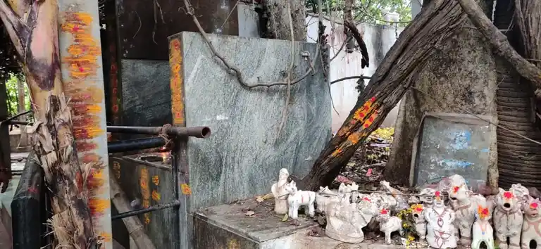 Arulmigu Papathiamman Temple, Kollakottay, Andiappanur - 635702 அருள்மிகு பாப்பாத்தியம்மன் திருக்கோயில், கொள்ளகொட்டாய், அண்டியப்பனுர் - 635702, Thirupathur - Ancient Temple Architecture and History Image 2