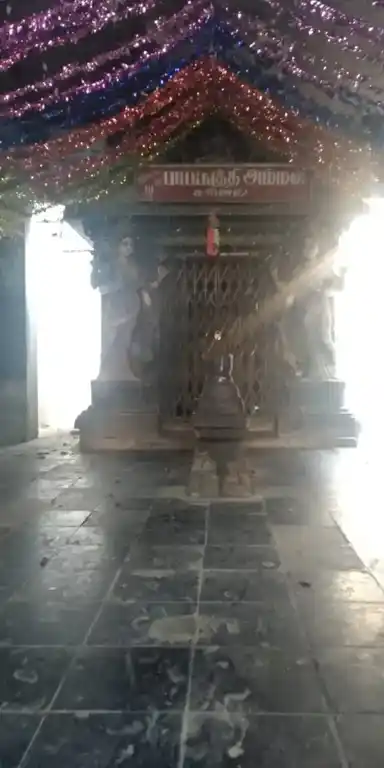 Arulmigu Papathiamman Temple, Sarpanar Pettai, Arani - 632301