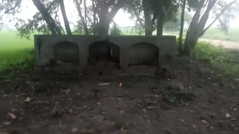 Arulmigu Papathiyamman Temple, Thenkachiperumalnatham - 612904 அருள்மிகு பாப்பாத்தியம்மன் திருக்கோயில், Thenkachiperumalnatham - 612904, Ariyalur - Ancient Temple Architecture and History Image 5