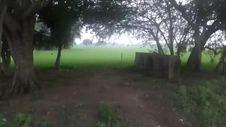 Arulmigu Papathiyamman Temple, Thenkachiperumalnatham - 612904 அருள்மிகு பாப்பாத்தியம்மன் திருக்கோயில், Thenkachiperumalnatham - 612904, Ariyalur - Ancient Temple Architecture and History Image 7