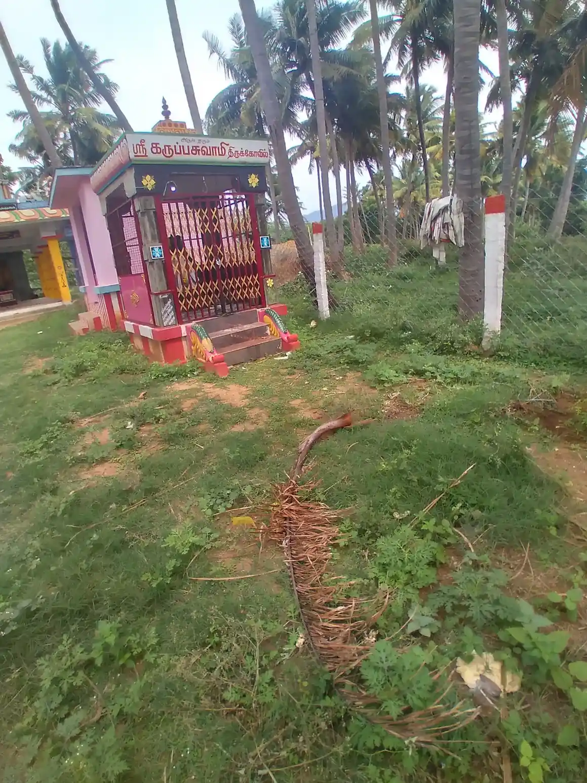 Arulmigu Para Kirama Pandian Temple, -, Neduvayal - 627803 அருள்மிகு பராக்கிரம பாண்டிய பேரி அய்யனார் திருக்கோயில், -, Neduvayal - 627803, Tenkasi - Ancient Temple Architecture and History Image 4