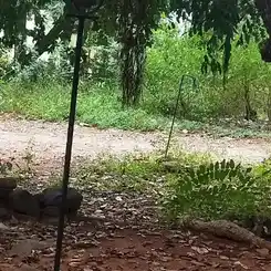 Arulmigu Paraiur Karupasamy Temple, Thadagoundanpalayam, Thadagoundanpalayam - 638052 அருள்மிகு பறையர் கருப்புசாமி திருக்கோயில், Thadagoundanpalayam, Thadagoundanpalayam - 638052, Erode - Ancient Temple Architecture and History Image 2