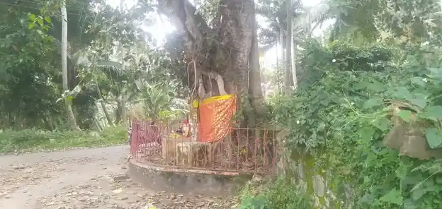 Arulmigu Paraiyadi Isakkiamman Temple, Eraniel - 629802