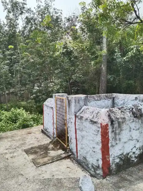 Arulmigu Paraiyadi Sastha Temple, Pannipakam, Muttaikkadu - 629161 Arulmigu Paraiyadi Sastha Temple, Pannipakam, முட்டைக்காடு - 629161, Kanyakumari - Ancient Temple Architecture and History Image 3