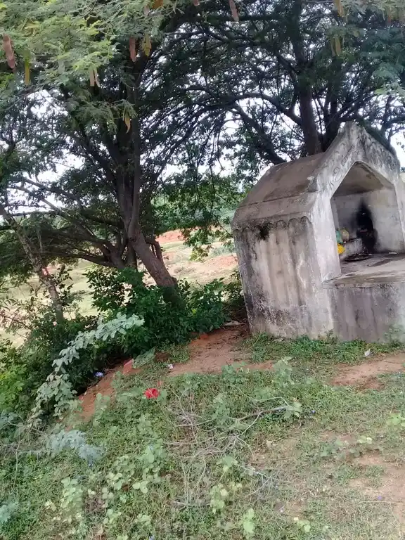 Arulmigu Paraiyan Temple, Sathampadi - 621701 அருள்மிகு பறையன் திருக்கோயில், Sathampadi - 621701, Ariyalur - Ancient Temple Architecture and History Image 3