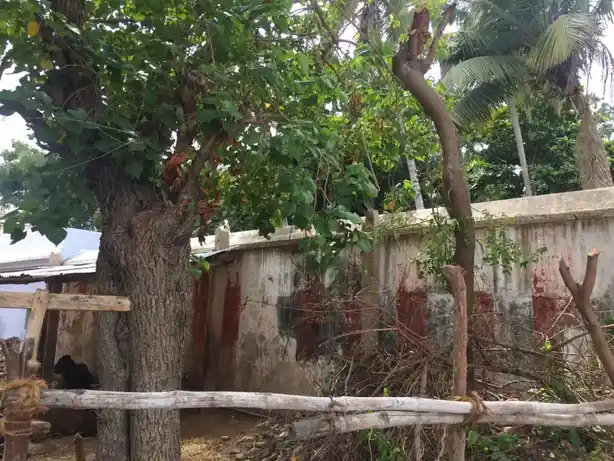 Arulmigu Paramanar Temple, Kela Anbil - 621704 Arulmigu Paramanar Temple, Kela Anbil, Kela Anbil - 621704, Thiruchirappalli - Ancient Temple Architecture and History Image 2