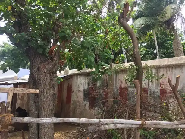 Arulmigu Paramanar Temple, Kela Anbil - 621704 Arulmigu Paramanar Temple, Kela Anbil, Kela Anbil - 621704, Thiruchirappalli - Ancient Temple Architecture and History Image 3