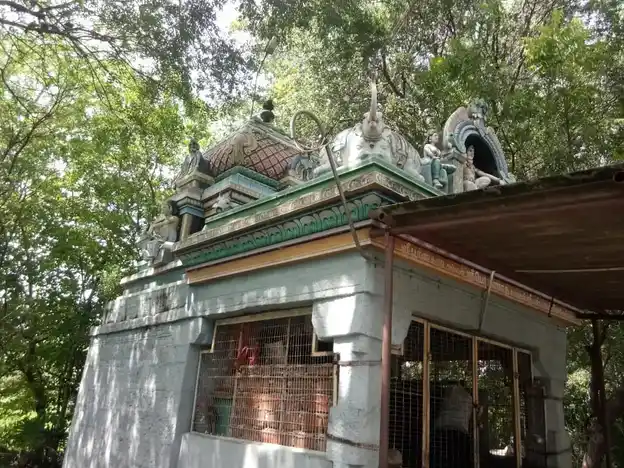 Arulmigu Paramanar Temple, Uiyakondan Thirumalai - 620102 Temple