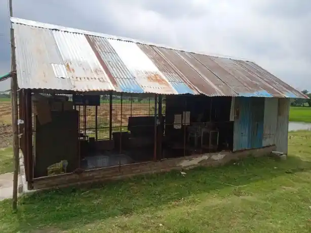 Arulmigu Paramanatha Samy Temple, Kaduveli - 614710 அருள்மிகு பரமநாதசுவாமி திருக்கோயில், Kaduveli - 614710, Thiruvarur - Ancient Temple Architecture and History Image 4