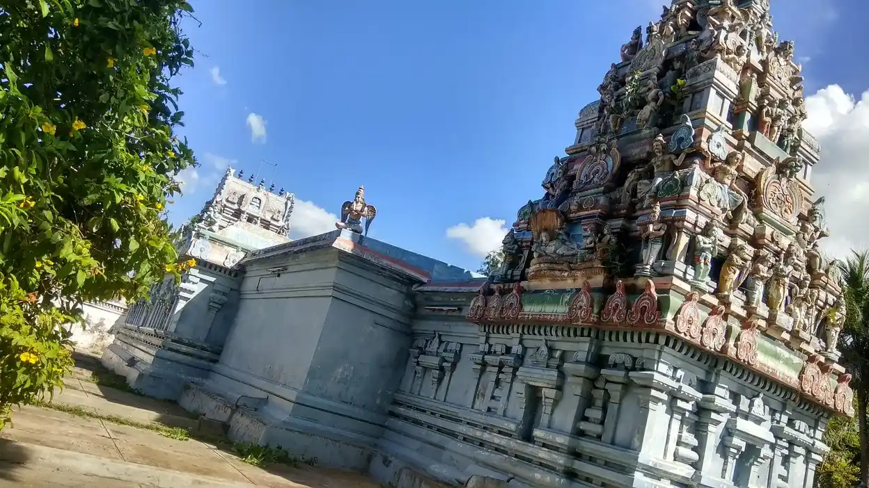 Arulmigu Paramanatharamagobalaswamy Temple, Nallichery - 614206 அருள்மிகு பரசுராம ராஜகோபாலசுவாமி திருக்கோயில், Nallichery - 614206, Thanjavur - Ancient Temple Architecture and History Image 5