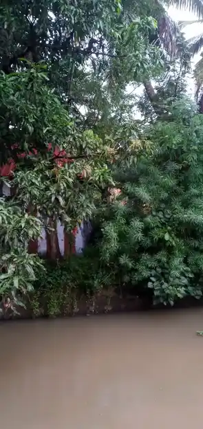 Arulmigu Paramapurushan Sastha Temple, Near Taluk Office, Boothapandi - 629852 அருள்மிகு பரமபுருஷன் சாஸ்தா திருக்கோயில், Near Taluk Office, Boothapandi - 629852, Kanyakumari - Ancient Temple Architecture and History Image 2