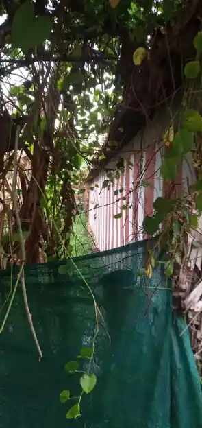 Arulmigu Paramapurushan Sastha Temple, Near Taluk Office, Boothapandi - 629852 அருள்மிகு பரமபுருஷன் சாஸ்தா திருக்கோயில், Near Taluk Office, Boothapandi - 629852, Kanyakumari - Ancient Temple Architecture and History Image 3