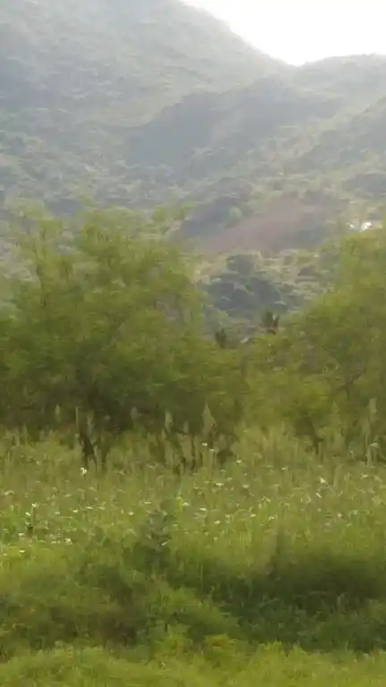 Arulmigu Paramasivan Temple, Pothampatti - 625532 Temple