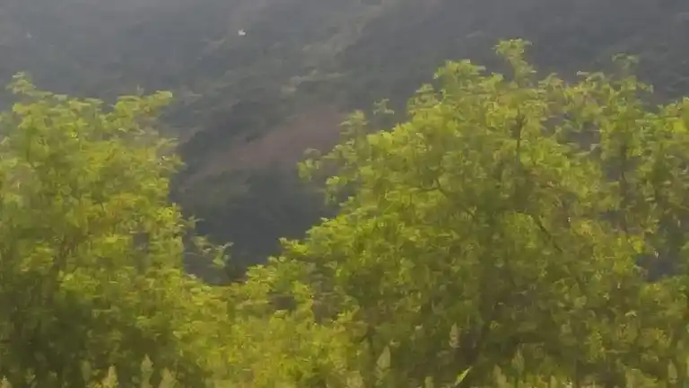 Arulmigu Paramasivan Temple, Pothampatti - 625532 அருள்மிகு பரமசிவன் திருக்கோயில், Pothampatti - 625532, Madurai - Ancient Temple Architecture and History Image 2