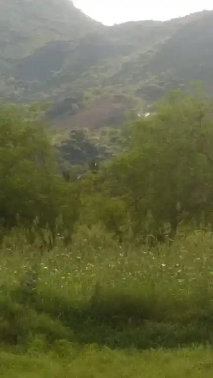 Arulmigu Paramasivan Temple, Pothampatti - 625532 அருள்மிகு பரமசிவன் திருக்கோயில், Pothampatti - 625532, Madurai - Ancient Temple Architecture and History Image 3