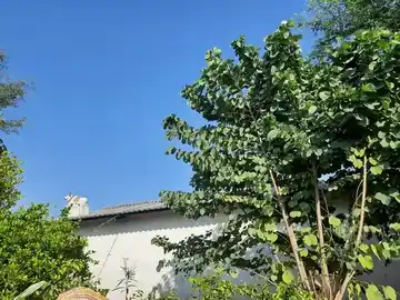 Arulmigu Paramasivan Thirukoil, Kuddakarai - 634909 அருள்மிகு பரமசிவன் திருக்கோயில், கூடக்கரை - 634909, Erode - Ancient Temple Architecture and History Image 4