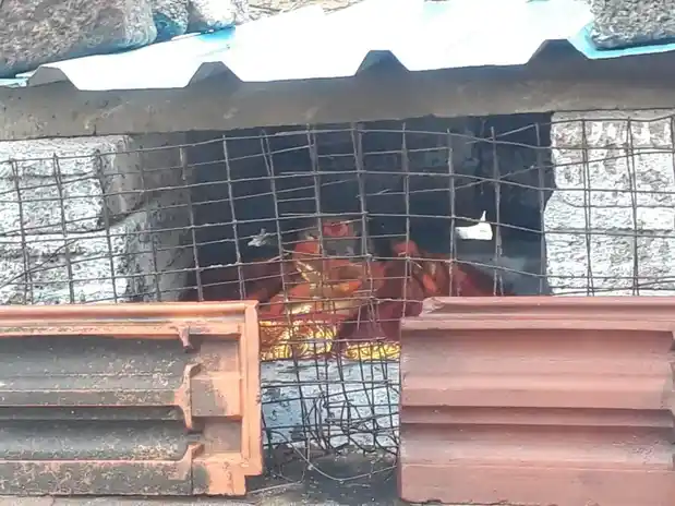 Arulmigu Parameswariamman Temple, Melakallur - 627010 அருள்மிகு பரமேஸ்வரியம்மன் திருக்கோயில், Melakallur - 627010, Tirunelveli - Ancient Temple Architecture and History Image 3