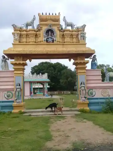 Arulmigu Paranachiyamman Temple, Pkarunkulam - 630204 அருள்மிகு பரநாச்சியம்மன் திருக்கோயில், Pkarunkulam, Pkarunkulam - 630204, Sivagangai - Ancient Temple Architecture and History Image 2