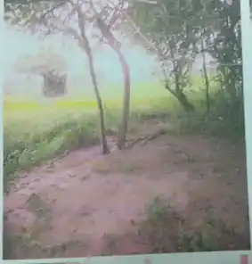 Arulmigu Parayan Pattavar Temple, Kothrappatti - 622112 Temple