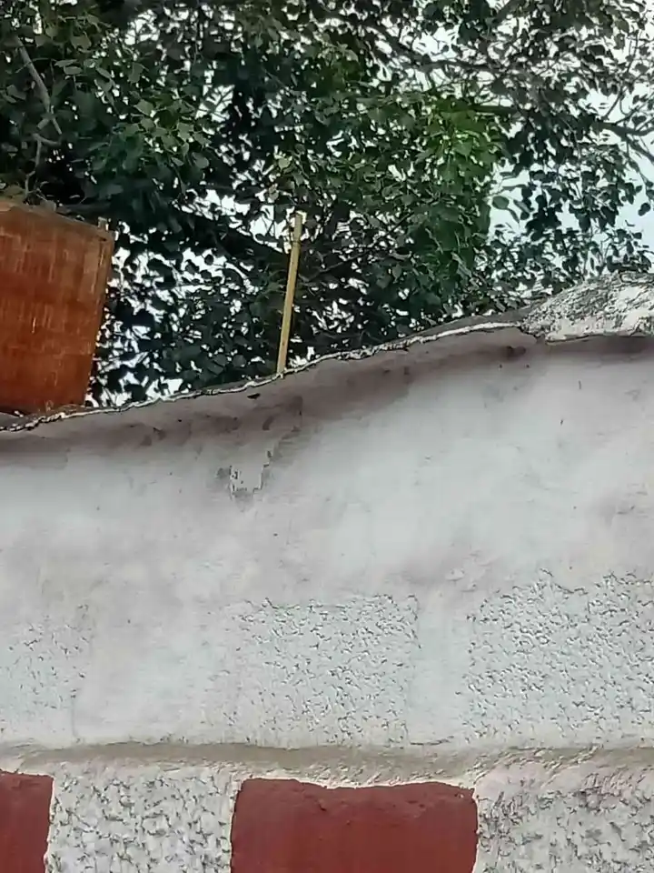 Arulmigu Pareeswarar Temple, Yanaitheppam, Dindigul - 624001 Temple