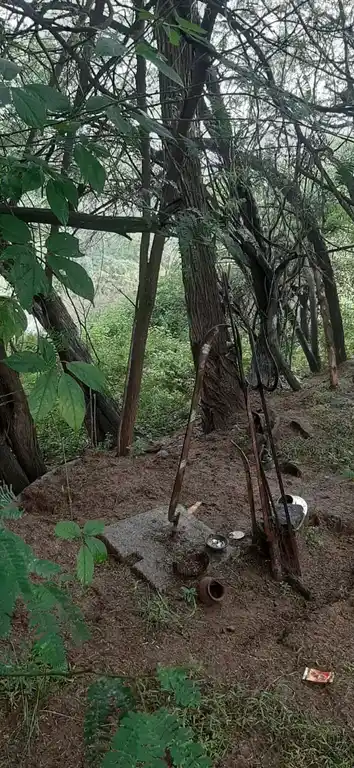 Arulmigu Parijatha Karuppanaswamy Temple, Chokkampatti - 625103 பாரிஜாத கருப்பணசுவாமி திருக்கோயில், Chokkampatti - 625103, Madurai - Ancient Temple Architecture and History Image 4