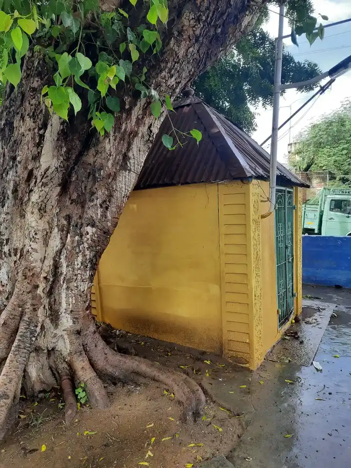 Arulmigu Paripoorana Vinayagar Temple, Tirunelveli - 627006 அருள்மிகு பரிபூரணவிநாயகர் திருக்கோயில், Tirunelveli - 627006, Tirunelveli - Ancient Temple Architecture and History Image 3